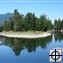 A Clark Fork River island frequented by moose.